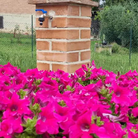 Il Sogno Di Andrea * San Gimignano