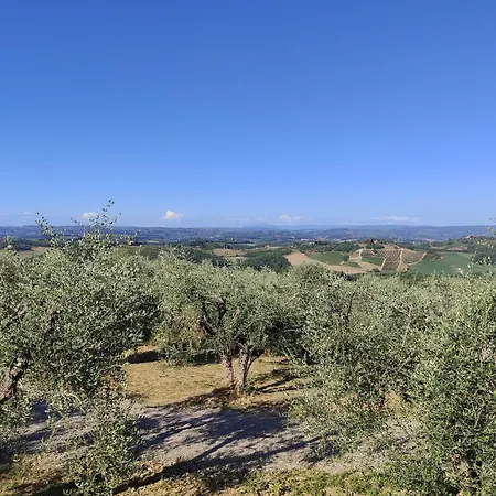 Il Sogno Di Andrea
