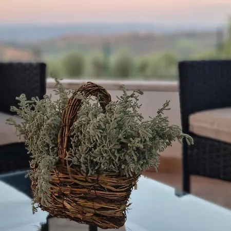 Il Sogno Di Andrea Villa *